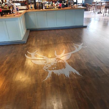 سوثامبتون The Roebuck Inn المظهر الخارجي الصورة