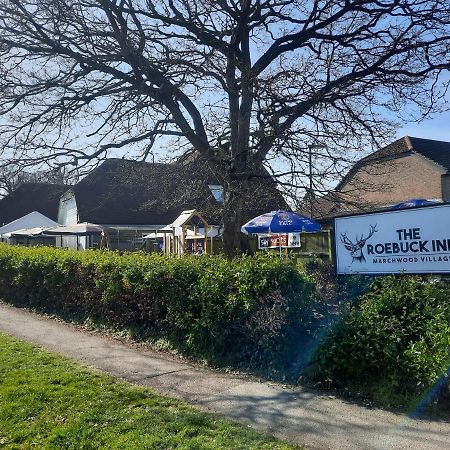 سوثامبتون The Roebuck Inn المظهر الخارجي الصورة