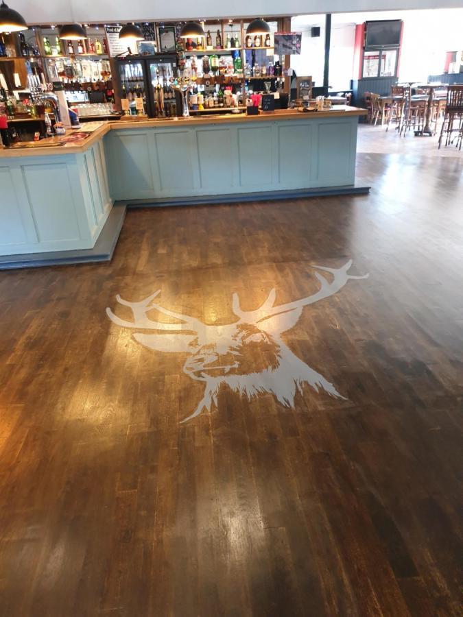 سوثامبتون The Roebuck Inn المظهر الخارجي الصورة