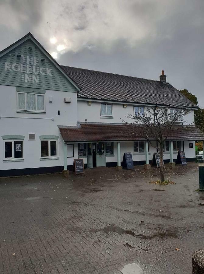 سوثامبتون The Roebuck Inn المظهر الخارجي الصورة